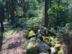 Vest for Spiradammen