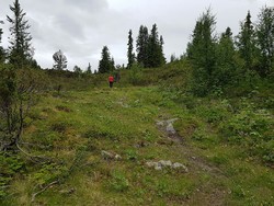 Smørlifjellet fra Jutulstølsiden