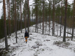 Nordøst for Neverdalen