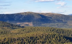 Venåsfjellet