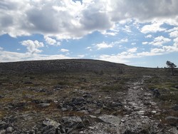 Renåfjellet nord