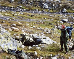 Jøtebotn fangstgraver