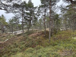 Halvfarsåsen