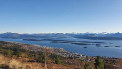 Molde
