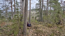 Øst for Sløkebukta