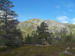 Djupsjøberget