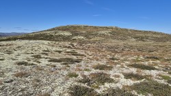 Søltjønnhovda Vest