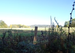 Larvik kommunes geografiske midtpunkt