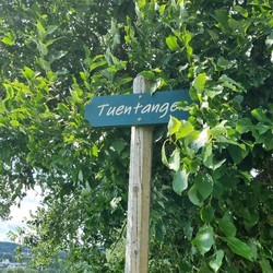 Tuentangen