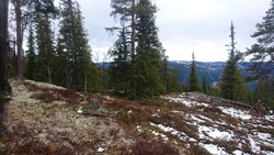 Espesetåsen høyde 895