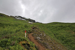 Tursti Bakkedalen - Dukhornet