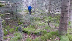 Fjelly (tuft), Løvstakken