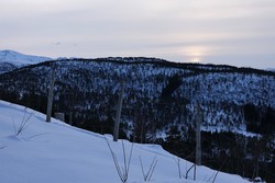 Haugfjellet