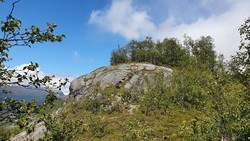 Nedre Liarberget
