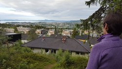 Dalhaugen utsikt øst