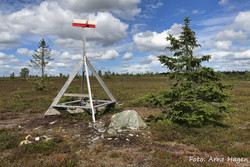 Staupholsvegen utsikt