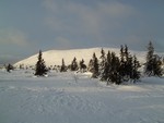 Østre Skurufjellhøa