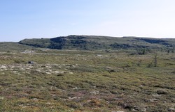 Bjørnlifjellet