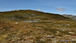 Fremre Brusestølnosi