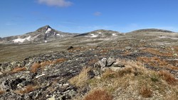 Børgefjell nasjonalpark