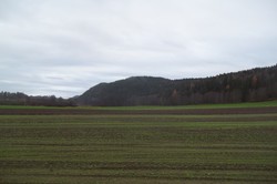 Ringiåsen