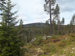 Vestsjøberget