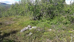 Storhaugen ved Tverlikampen