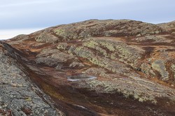 Krosstjønnhovdun Vest