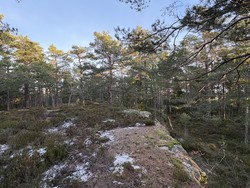 Tegdalsåsen