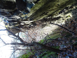 Tømmerrenna på Løvøya