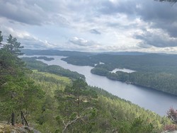 Toskefjell utsiktspunkt