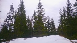 Nordre Rådalshøgda