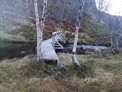 Gangbro ved Botnavatnet