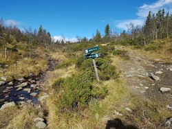 Feplassen-Spåtind stidele