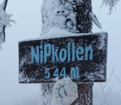 Nipkollen