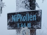 Nipkollen