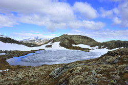 Gjerdesnosi Nordøst