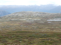 Sæterhaugen