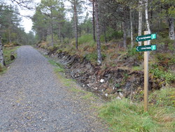 Tursti Vonheim - Gyrinakken