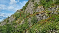 Hyllesystem vest - Gjerddalstind