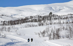 Rindabotn - Høgehaug vinterløype