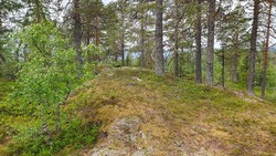 Storliåsen