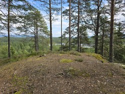 Sør for Hyttevollen