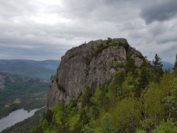 Rønnomnibben klyving