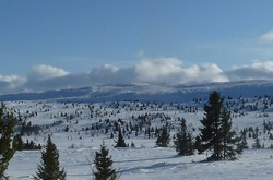 Hitfjellet