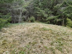 Ileodden i Vormadalen