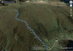 Nonshornet fra Tuftene