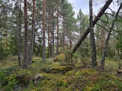 Harastokkåsen sørvest