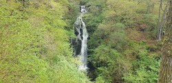 Black Spout