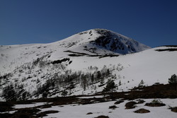 Kvitfjellet